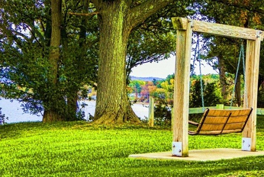 Lawn Swing In Your Front Yard To Enjoy The View