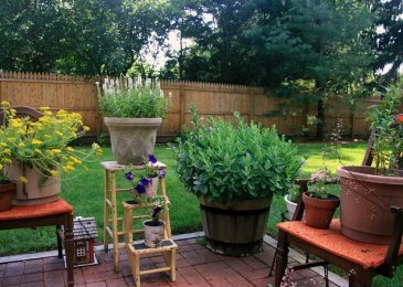 Backyard Landscaping Pictures To Gain Ideas To Improve Your Backyard