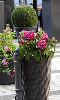 Patio Planters To Beautify Your Patio