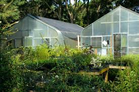 nursery greenhouse