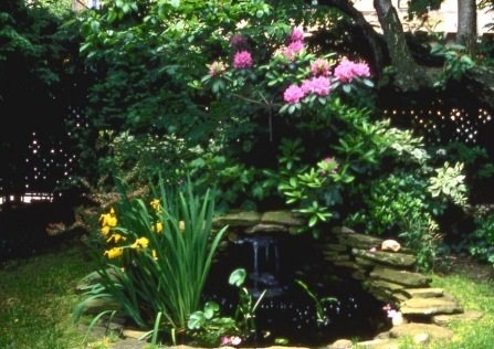 small garden design landscape idea 2