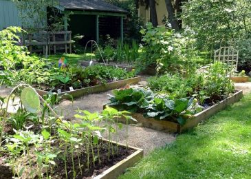 Growing Vegetables With Raised  Beds Garden