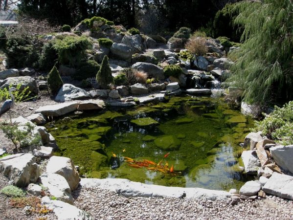 Complete Guide to Build Garden Ponds 2