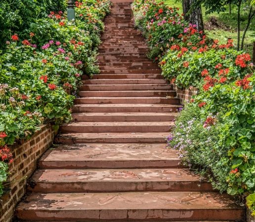 Guide to Building Garden Steps