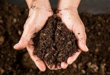How to Determine The Composition of Soil