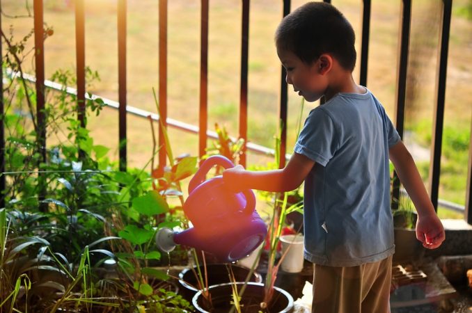 Poisonous Plants to Avoid in a Children's Garden