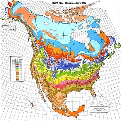 USDA_Hardiness_zone_map