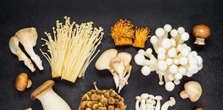 Complete Guide - Different Types of Mushrooms