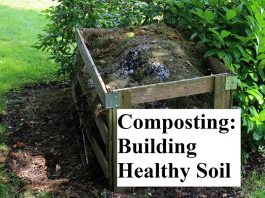 Composting: Building Healthy Soil