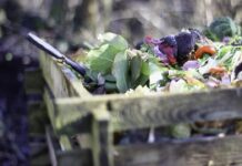Domestic Compost How To Prepare It At Home