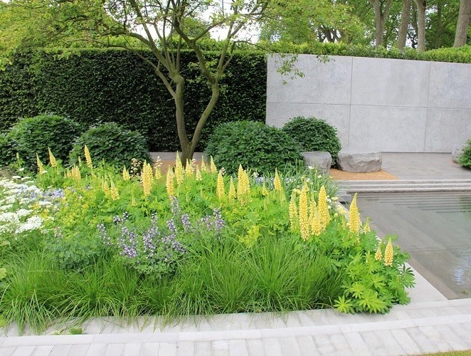 Tips For A Successful Garden Layout