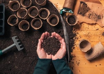 Guide to Prepare Garden Soil