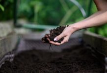 All About Soil For Vegetable Producers in Garden