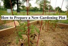 How to Prepare a New Gardening Plot