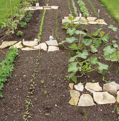 How To Prepare A New Gardening Plot