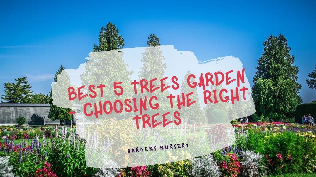 Best 5 Trees Garden - Choosing The Right Trees 