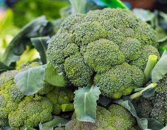 Perfect Companions For Broccoli