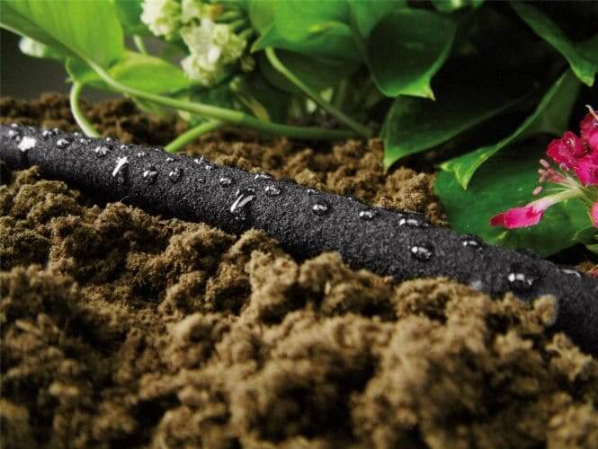 How To Save Water And Get A Greener Garden With A Soaker Hose