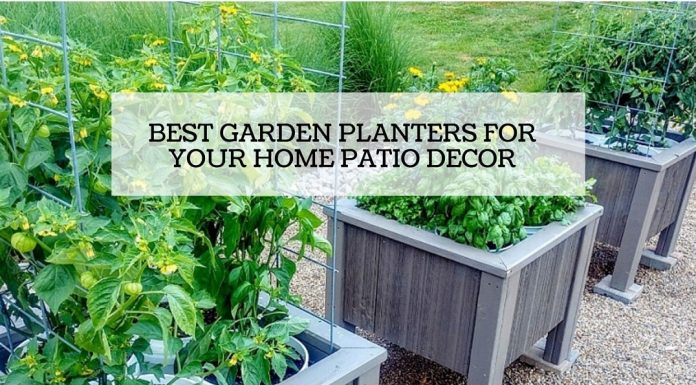 Types of Garden Planters for your Home Decor
