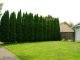 Why you will need to Plant Trees on Your Lawn?
