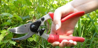 Felco F-7 Gardening Hand Pruner Review