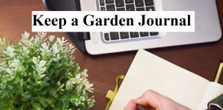 Keep a Garden Journal