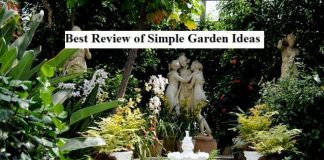 Best Review of Simple Garden Ideas