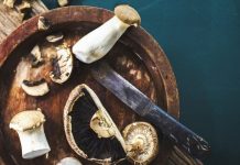 How To Harvest Mushrooms At Home Garden