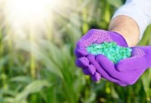 Is Fertilizing Necessary, and How Much Is Needed