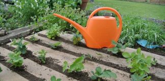 6 Time Saving Tips For Gardening Home
