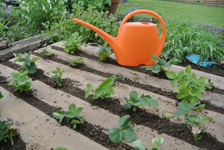 6 Time Saving Tips For Gardening Home