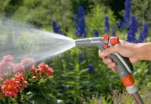 5 Easy Water-Wise Tips for your Garden