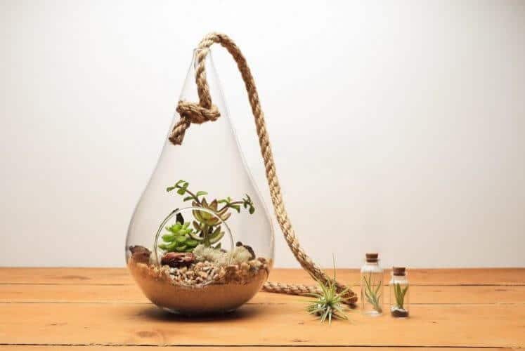05 Steps to Create Terrarium Project for Kids