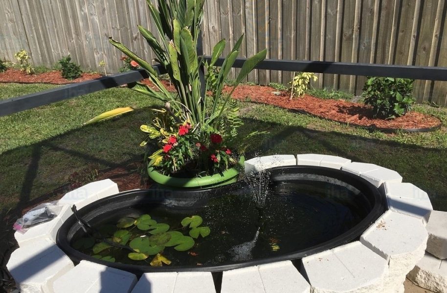 How to Create a Pond In Your Garden