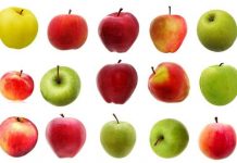 The top 10 apple varieties