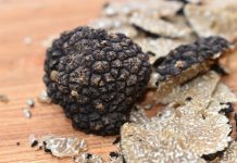 Complete Guide About Truffle