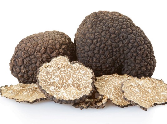Growing Truffles Indoors A Comprehensive Guide