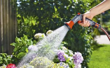 How to Watering Plants of Garden