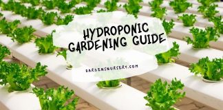 Hydroponic Gardening Guide
