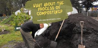 What About the Process of Composting