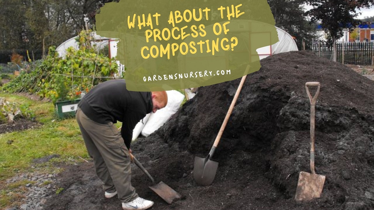 What About the Process of Composting