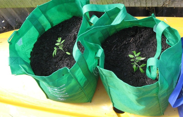 Why You Should Use Grow Bags in Your Garden