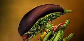 13 Alien Vegetables You Can Find On Earth