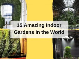 15 Amazing Indoor Gardens In the World