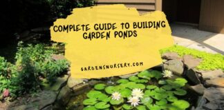 Complete Guide to Building Garden Ponds