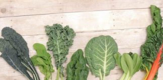 Consider Making Leafy Greens The Backbone of Your Garden