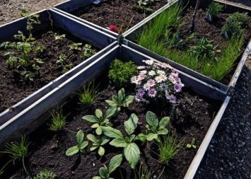 Create a Raised Bed Garden