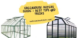 Greenhouse Buyers Guide - Best Tips and Tricks
