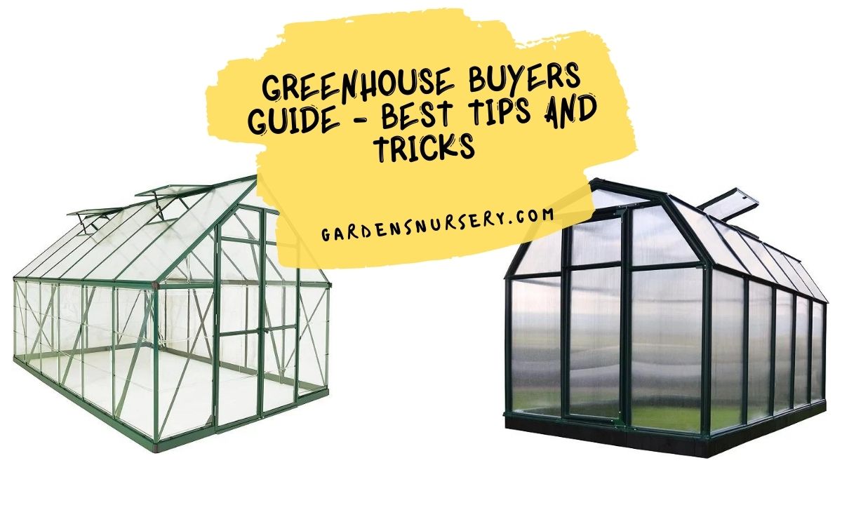 Greenhouse Buyers Guide - Best Tips and Tricks