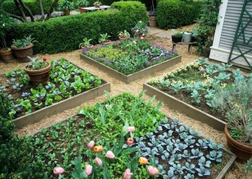 How Do You Build a Simple Raised Garden Bed